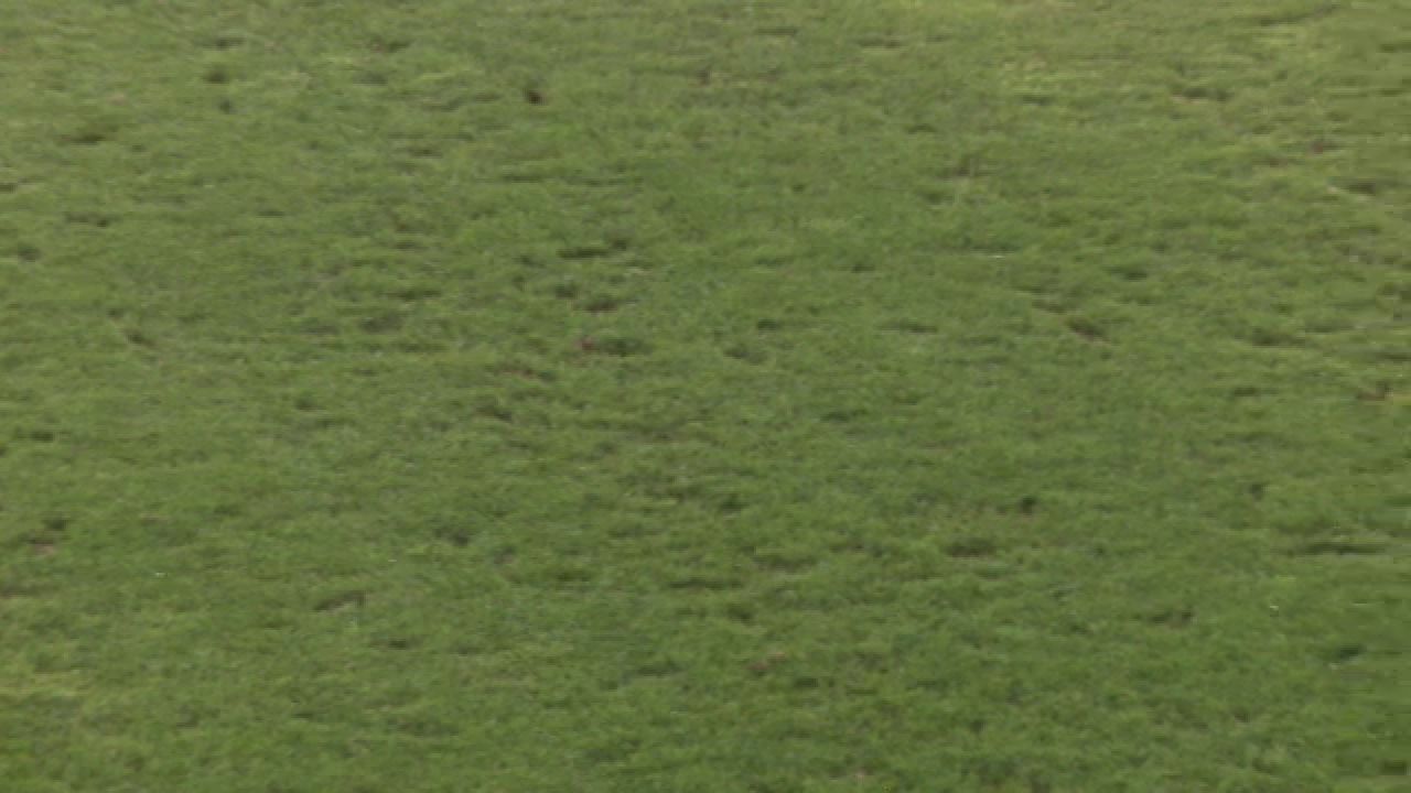 Nemulțumirea lui Mihai Stoica, înaintea meciului FCSB - CSKA 1948: