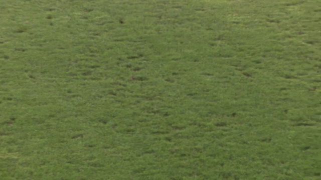 Nemulțumirea lui Mihai Stoica, înaintea meciului FCSB - CSKA 1948: