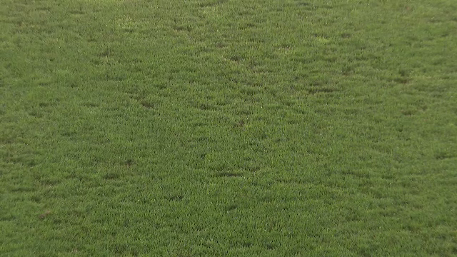 Nemulțumirea lui Mihai Stoica, înaintea meciului FCSB - CSKA 1948: 