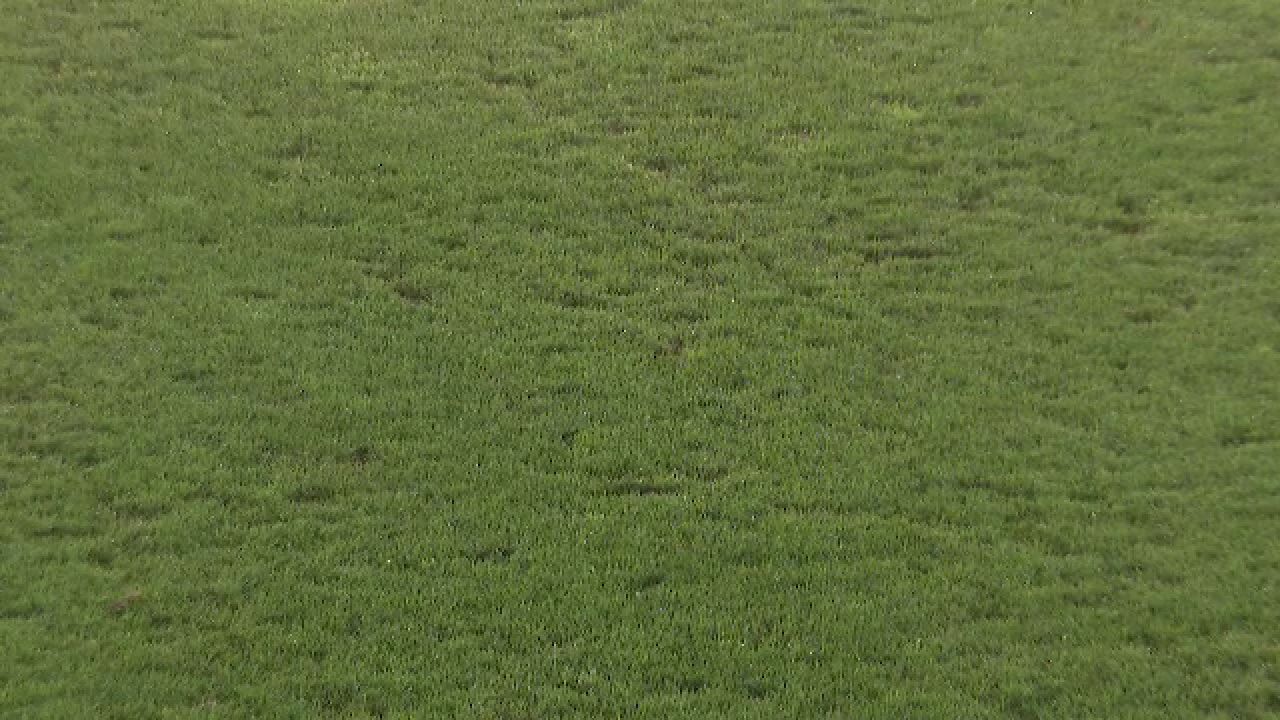 Nemulțumirea lui Mihai Stoica, înaintea meciului FCSB - CSKA 1948: