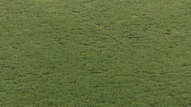 Nemulțumirea lui Mihai Stoica, înaintea meciului FCSB - CSKA 1948: