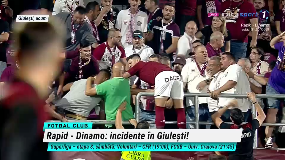 Bătaie în tribune la Rapid - Dinamo: Săpunaru a sărit să îi despartă pe suporteri_7