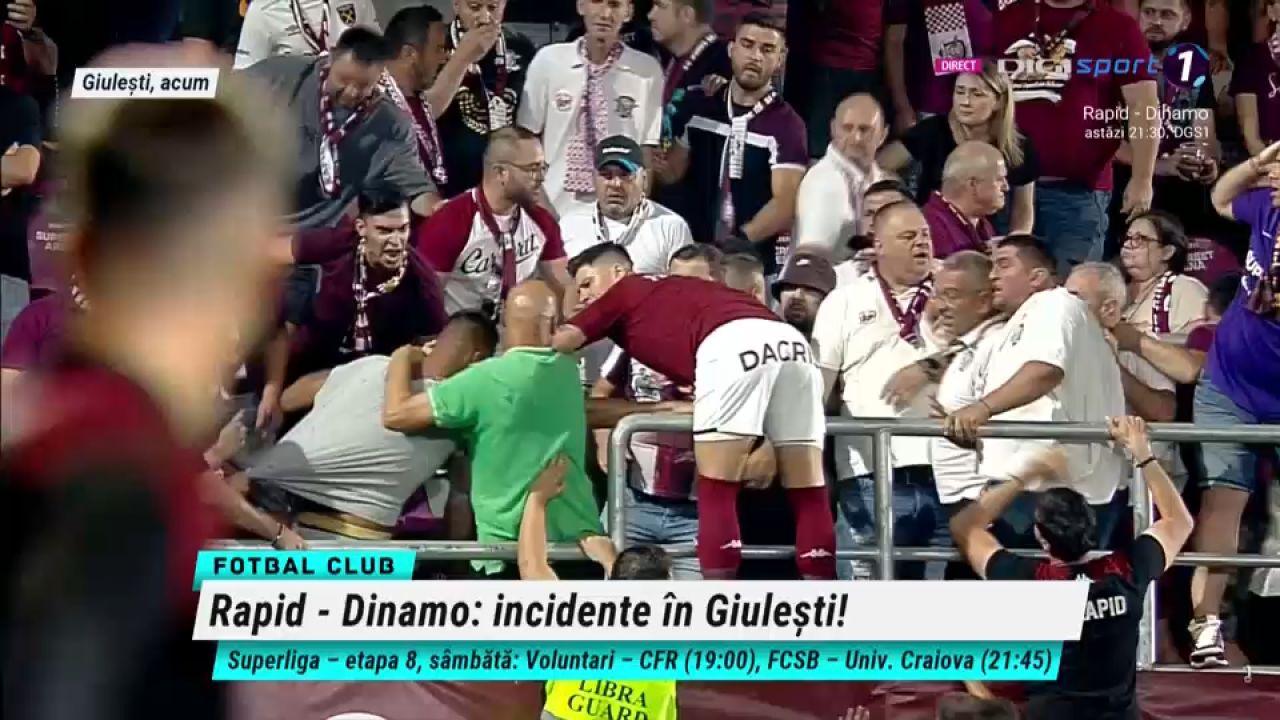 Bătaie în tribune la Rapid - Dinamo: Săpunaru a sărit să îi despartă pe suporteri_7