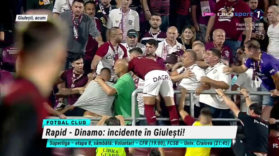 Bătaie în tribune la Rapid - Dinamo: Săpunaru a sărit să îi despartă pe suporteri_9