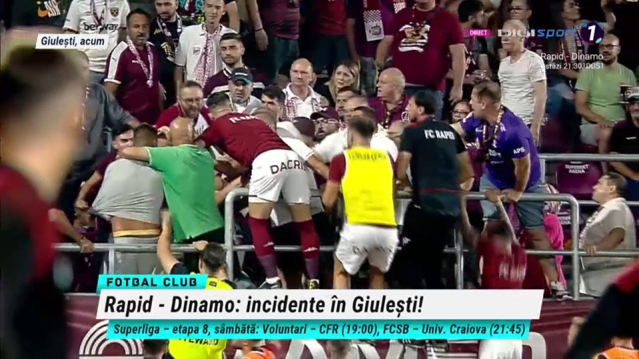 Bătaie în tribune la Rapid - Dinamo: Săpunaru a sărit să îi despartă pe suporteri_10