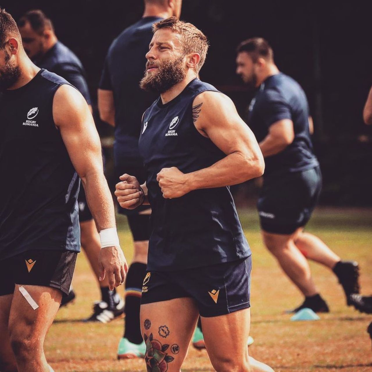 Cupa Mondială de rugby 2023 |