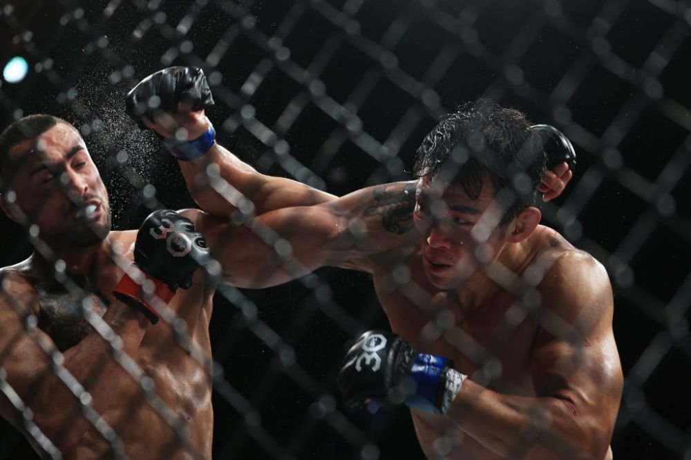 UFC și WWE au fuzionat, iar noua companie vrea să devină un 