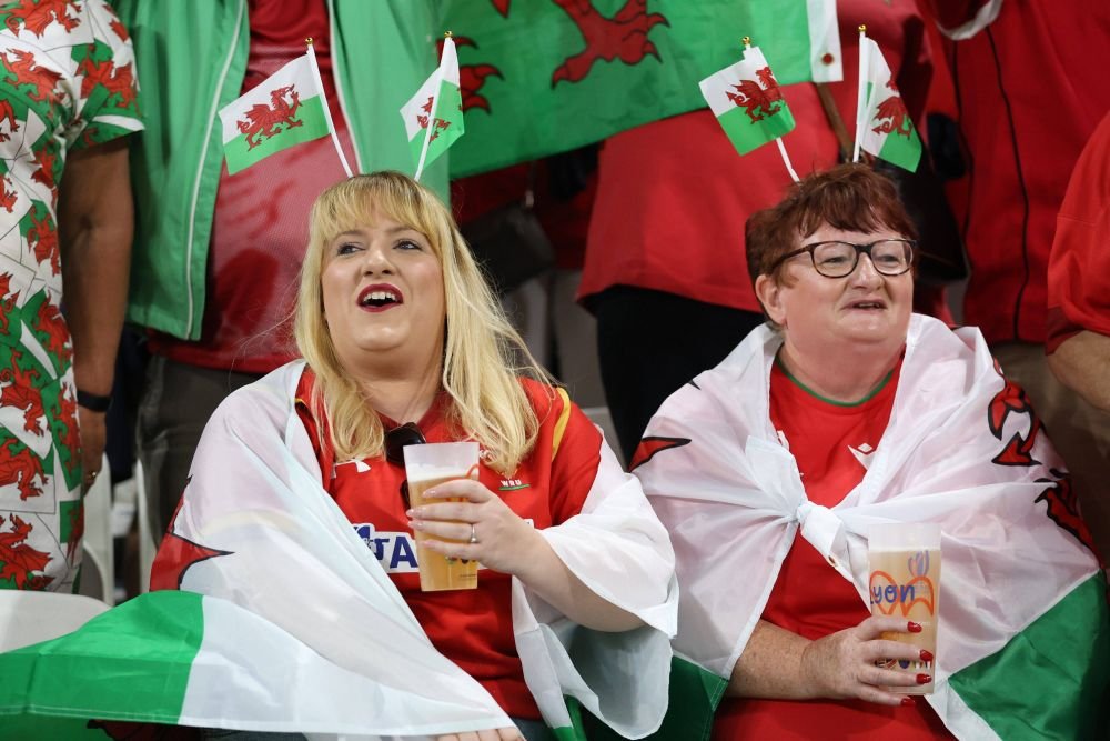 Cele mai tari imagini de la Cupa Mondială de rugby din Franța_11