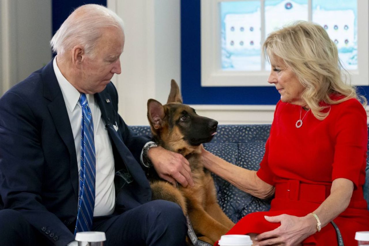 Îl vrei la Dinamo? Câinele lui Joe Biden a mușcat pentru a 11-a oară un agent Secret Service de la Casa Albă!_4