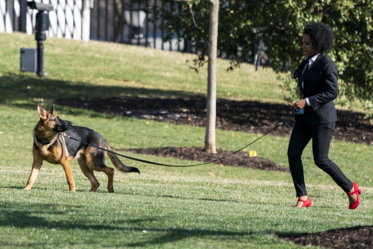 Îl vrei la Dinamo? Câinele lui Joe Biden a mușcat pentru a 11-a oară un agent Secret Service de la Casa Albă!_5