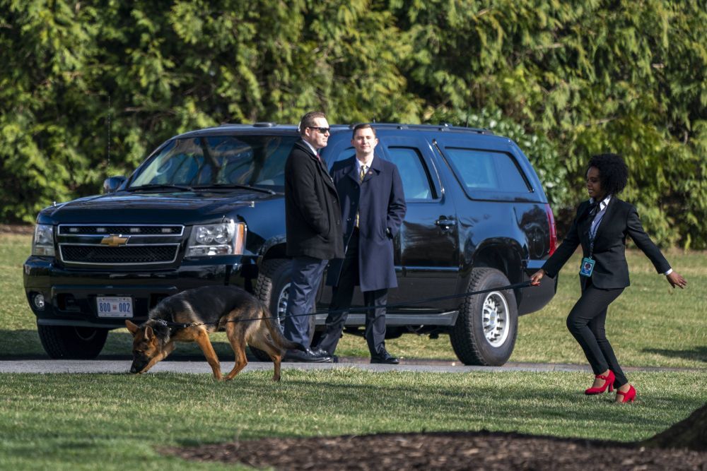 Îl vrei la Dinamo? Câinele lui Joe Biden a mușcat pentru a 11-a oară un agent Secret Service de la Casa Albă!_6