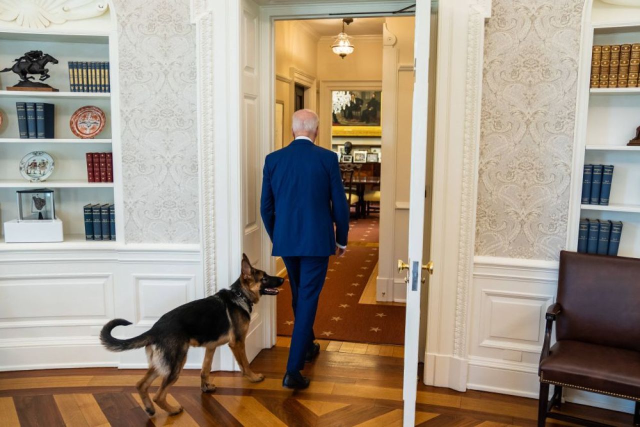 Îl vrei la Dinamo? Câinele lui Joe Biden a mușcat pentru a 11-a oară un agent Secret Service de la Casa Albă!_8
