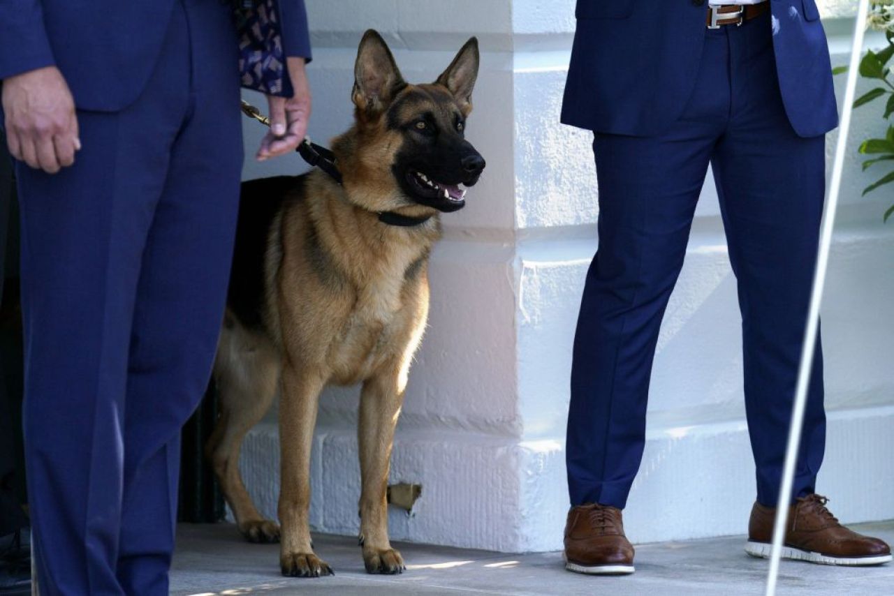 Îl vrei la Dinamo? Câinele lui Joe Biden a mușcat pentru a 11-a oară un agent Secret Service de la Casa Albă!_9