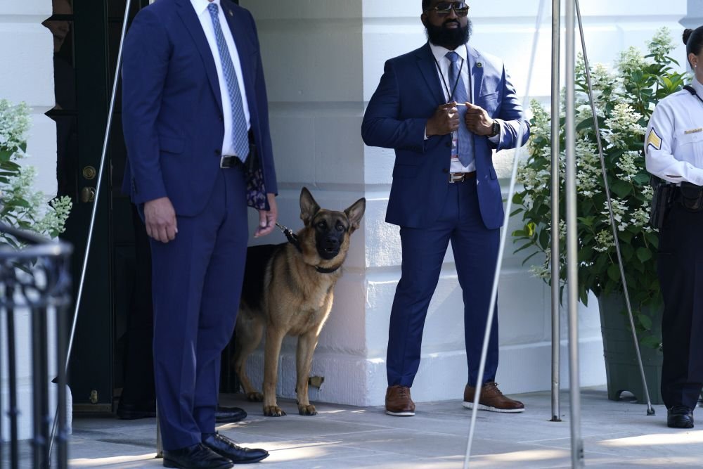 Îl vrei la Dinamo? Câinele lui Joe Biden a mușcat pentru a 11-a oară un agent Secret Service de la Casa Albă!_10