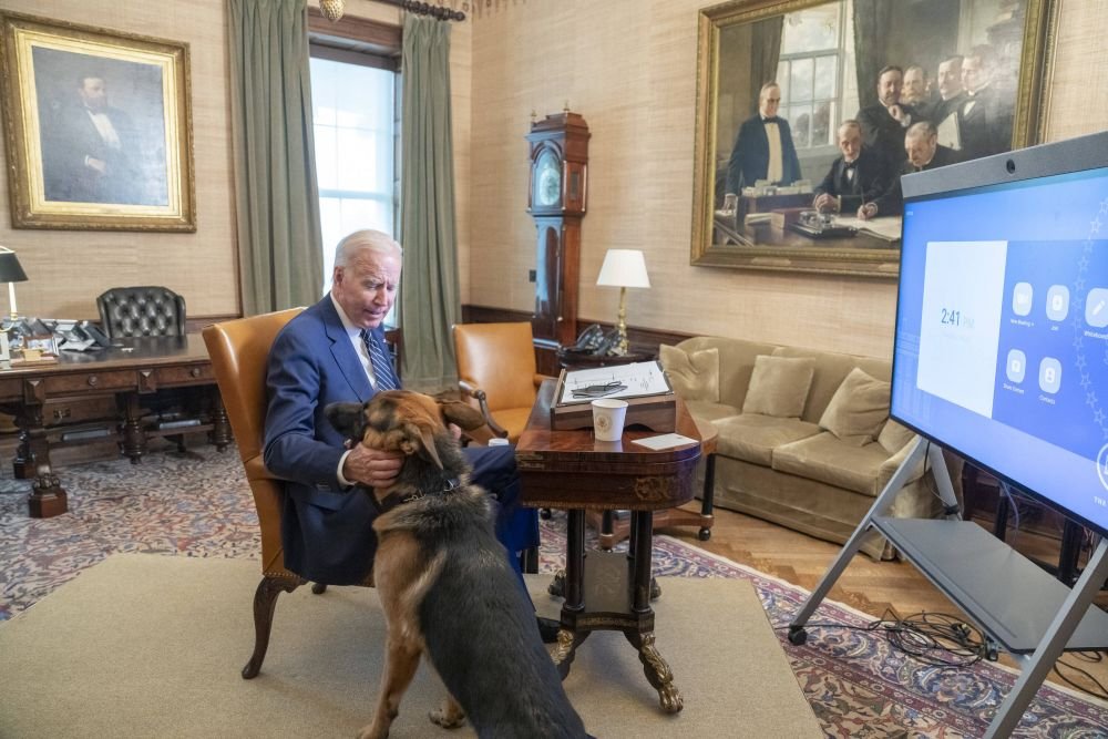 Îl vrei la Dinamo? Câinele lui Joe Biden a mușcat pentru a 11-a oară un agent Secret Service de la Casa Albă!_11