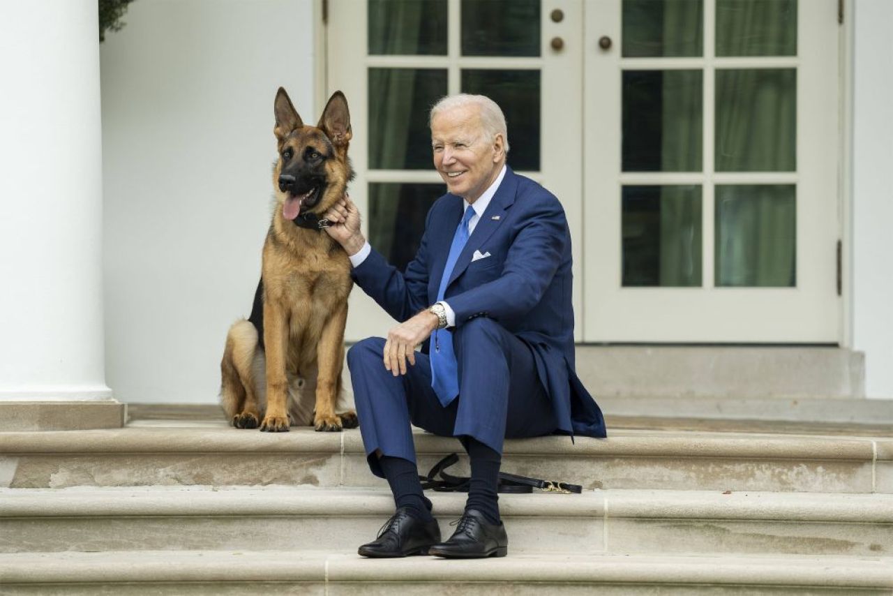 Îl vrei la Dinamo? Câinele lui Joe Biden a mușcat pentru a 11-a oară un agent Secret Service de la Casa Albă!_1