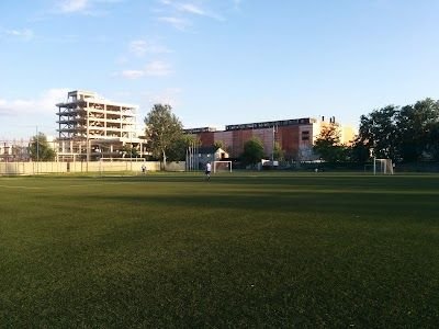 Echipa din țara vecină cu doi români în lot și nume perfect face spectacol în Cupă, deși e codașă în liga a doua_5