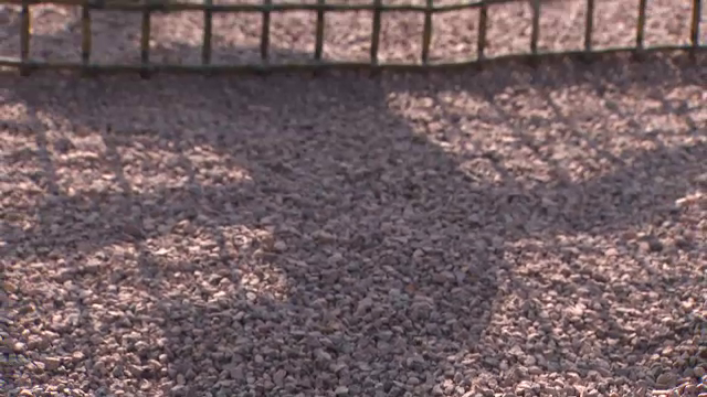 Ilie Năstase are statuie. Cum arată și unde e amplasată_31