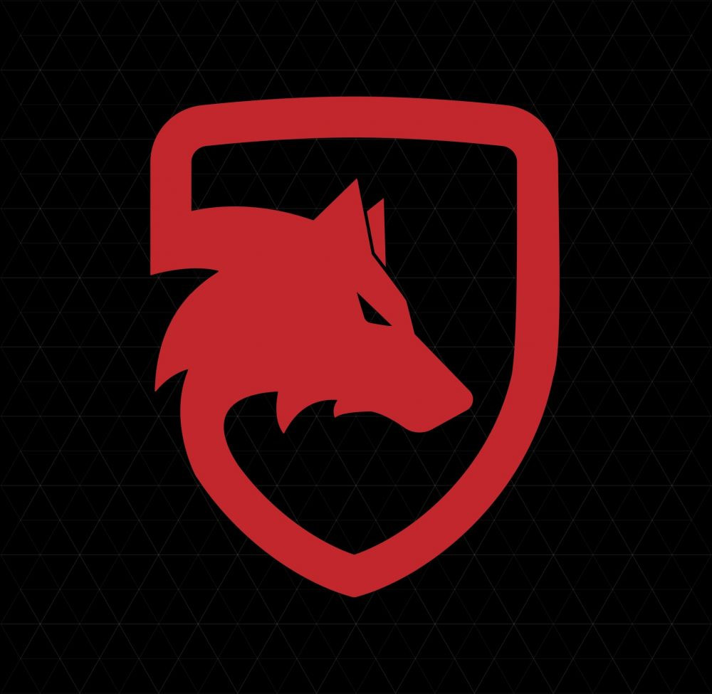 Dinamo și-a mai făcut o echipă și Adrian Cristea a semnat contractul_3