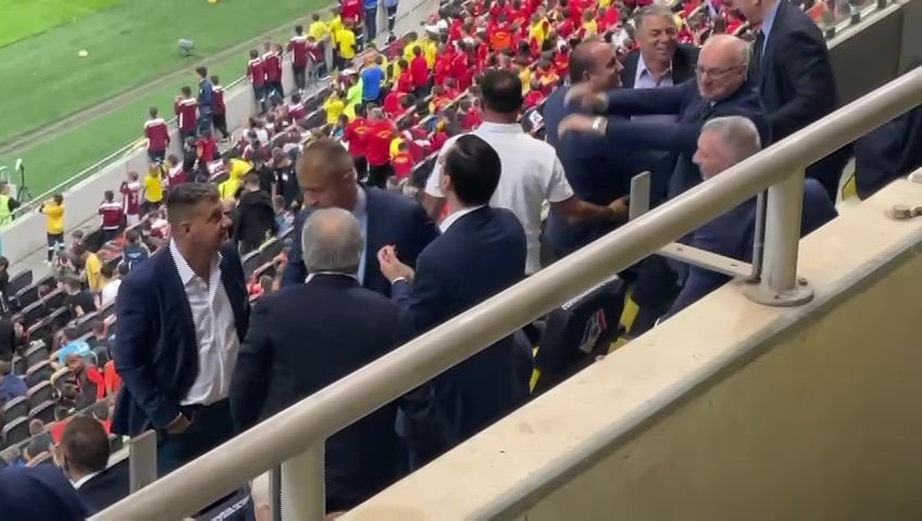 Explozie de bucurie! Cum au reacționat Burleanu și Stoichiță după golul lui Ianis Hagi_19