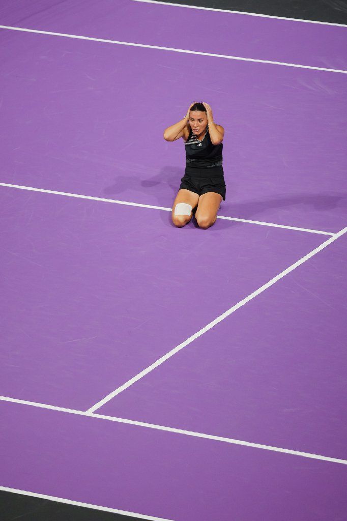 Ciorcilă explică de ce este aproape imposibil ca Transylvania Open să devină turneu WTA 500: nu banii sunt motivul_14
