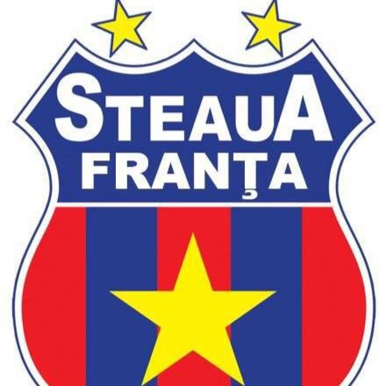 Talpan doesn't like this! O echipă din Franța folosește numele și sigla Stelei și jucătorii fac poze cu replica Cupei Campionilor_7