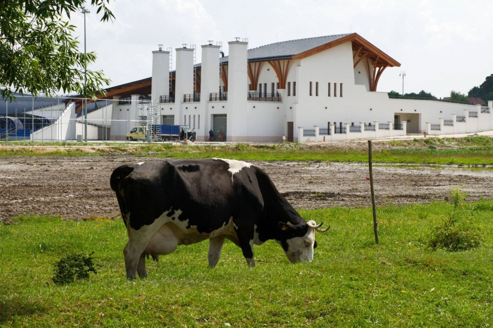 Ce a simțit un român pe Pancho Arena, stadionul din baza Akademiei Puskas pe care se joacă Israel - România. Dragoș Boboc: 
