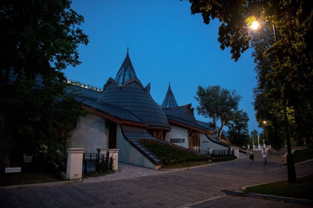 Reacția lui Dorinel Munteanu după ce a văzut Israel - Elveția 1-1_11