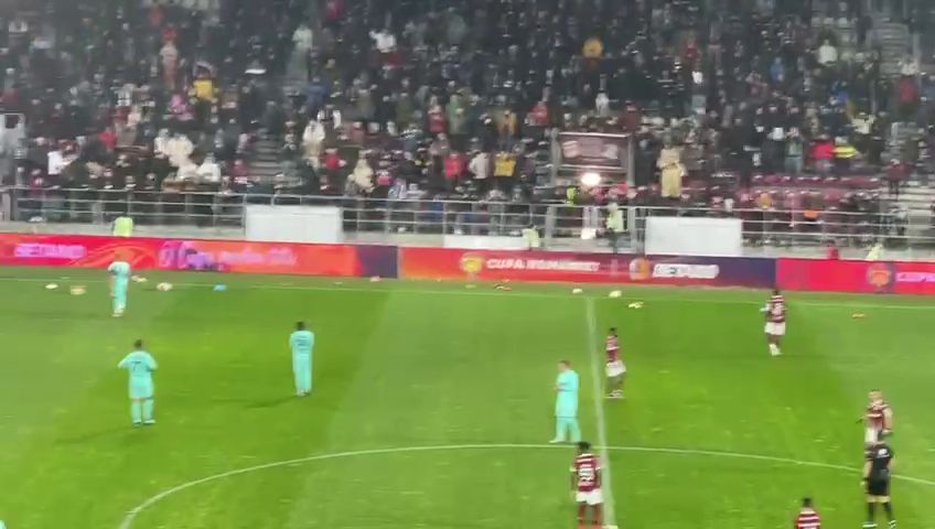Suporterii Rapidului au aruncat cu jucării în teren, la meciul cu CFR Cluj, de Sf. Nicolae_3