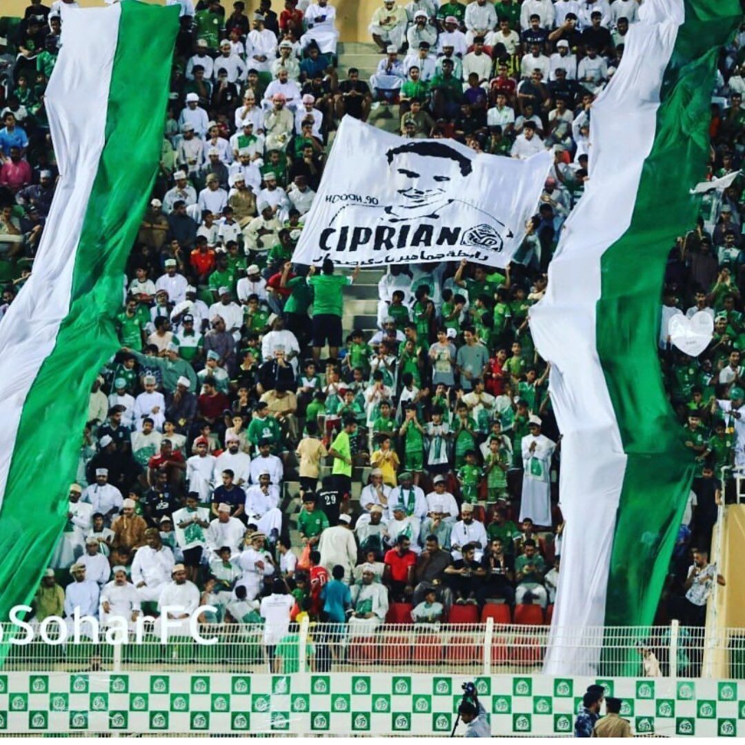 Ciprian Panait, poveste genială din Arabia Saudită: ”Prințul mi-a spus să aleg ce vreau eu! Am luat cămila și am mers la târg”. Cu cât a vândut-o_9