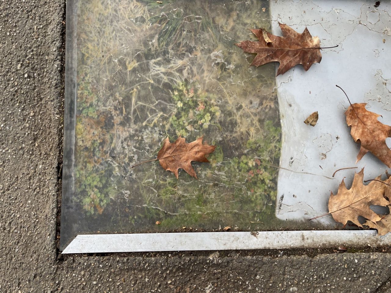 Aleea Succeselor s-a transformat în Aleea Deziluziilor! Walk of Fame din București, într-o stare dezolantă_12