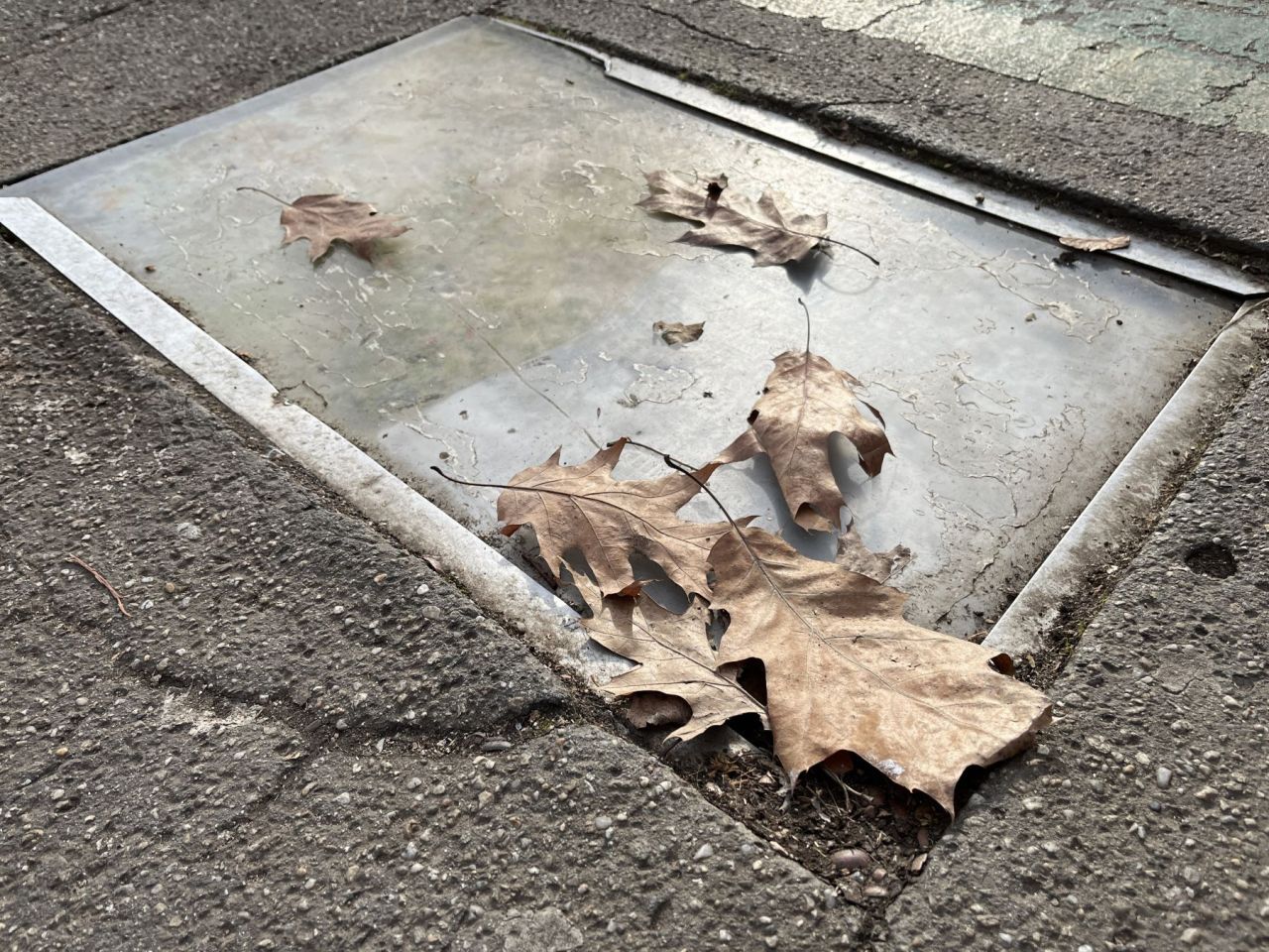 Aleea Succeselor s-a transformat în Aleea Deziluziilor! Walk of Fame din București, într-o stare dezolantă_13