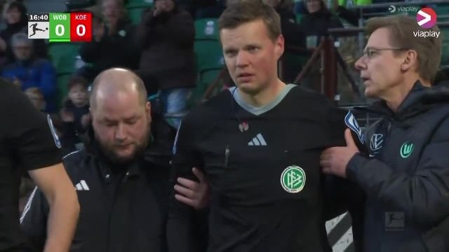 Momente inedite în Bundesliga: arbitrul a fost făcut KO, iar un spectator a devenit al patrulea oficial_3