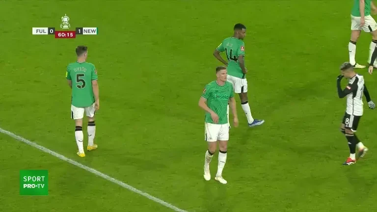 FA Cup: Fulham - Newcastle (gol minutul 61)