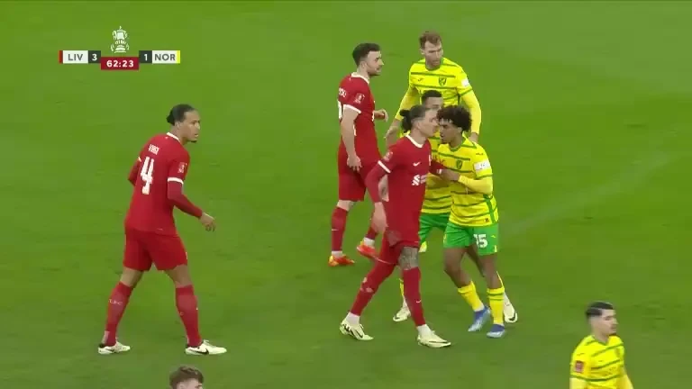 FA Cup: Liverpool - Norwich (gol minutul 63)