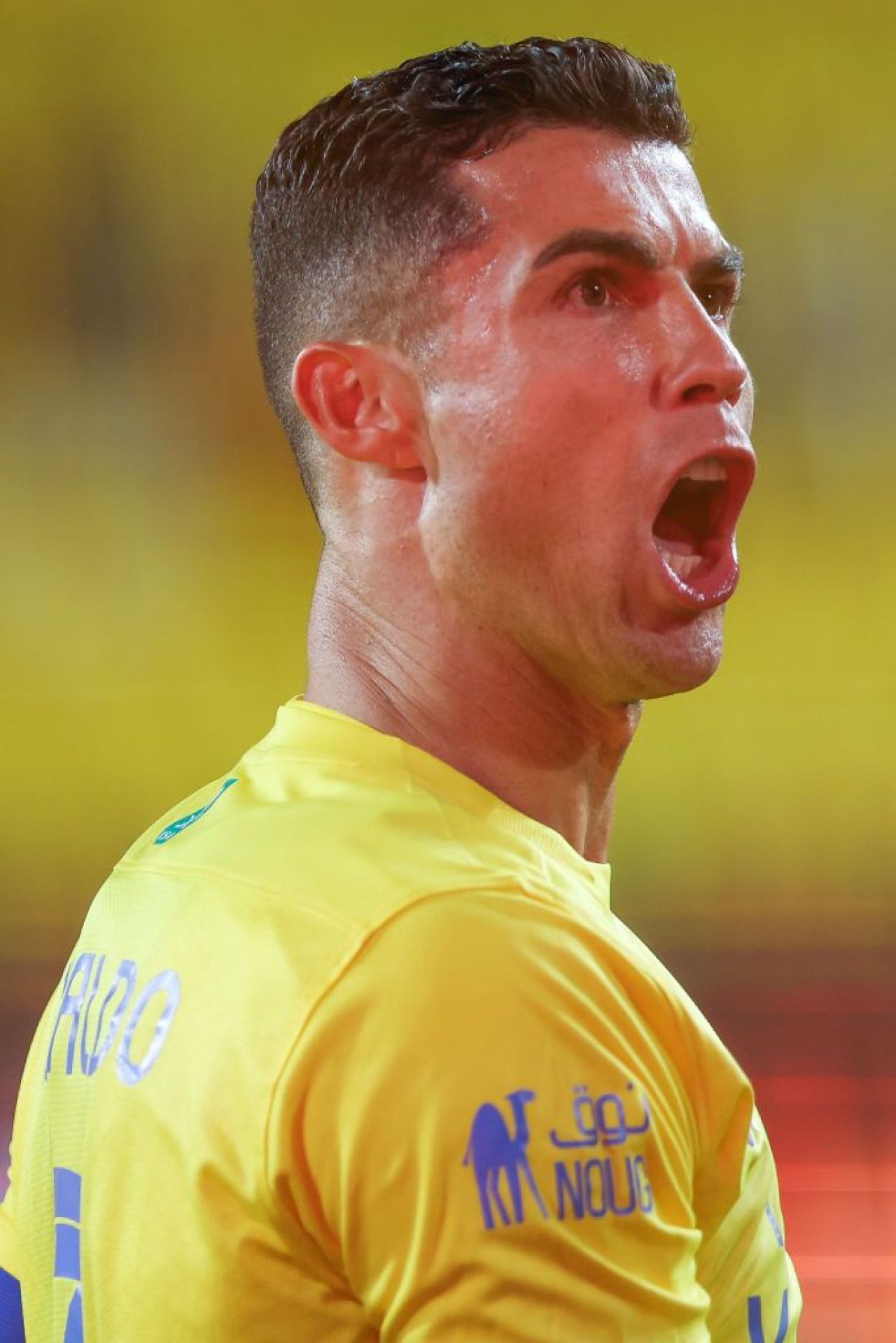 Decizia luată în Arabia Saudită după gesturile obscene ale lui Cristiano Ronaldo_2