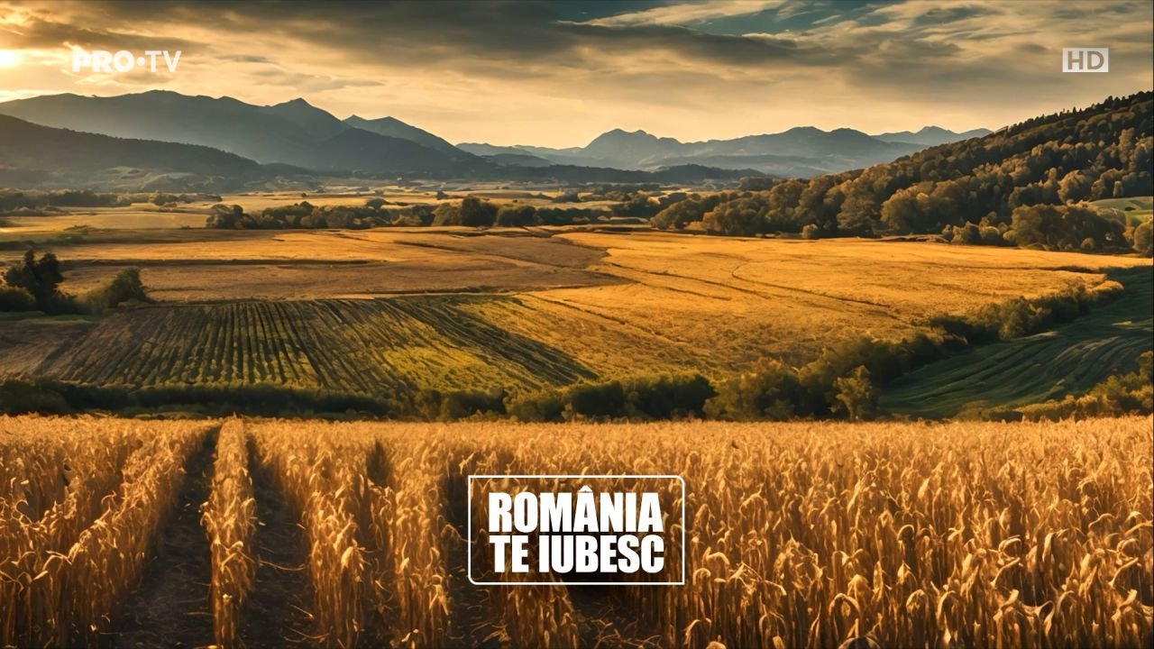 PRO TV folosește Inteligența Artificială pentru noua campanie de primăvară!_4