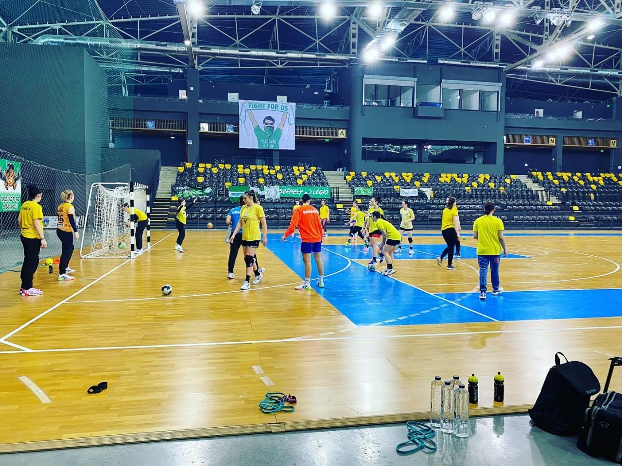 România - Ungaria de la Trofeul Carpați a fost LIVE pe Pro Arena și VOYO! Româncele s-au prăbușit pe final după ce au avut și 4 goluri avantaj_2