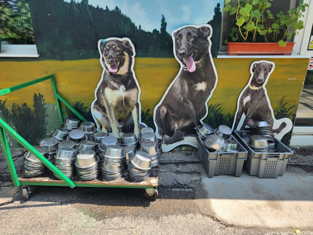 O zi dăruită de 8 Martie: Motociclistele Soul Sisters gătesc o tocăniță pentru cei 500 de c&acirc;ini ai Adăpostului Speranța. Evenimentul din 9 Martie e deschis publicului