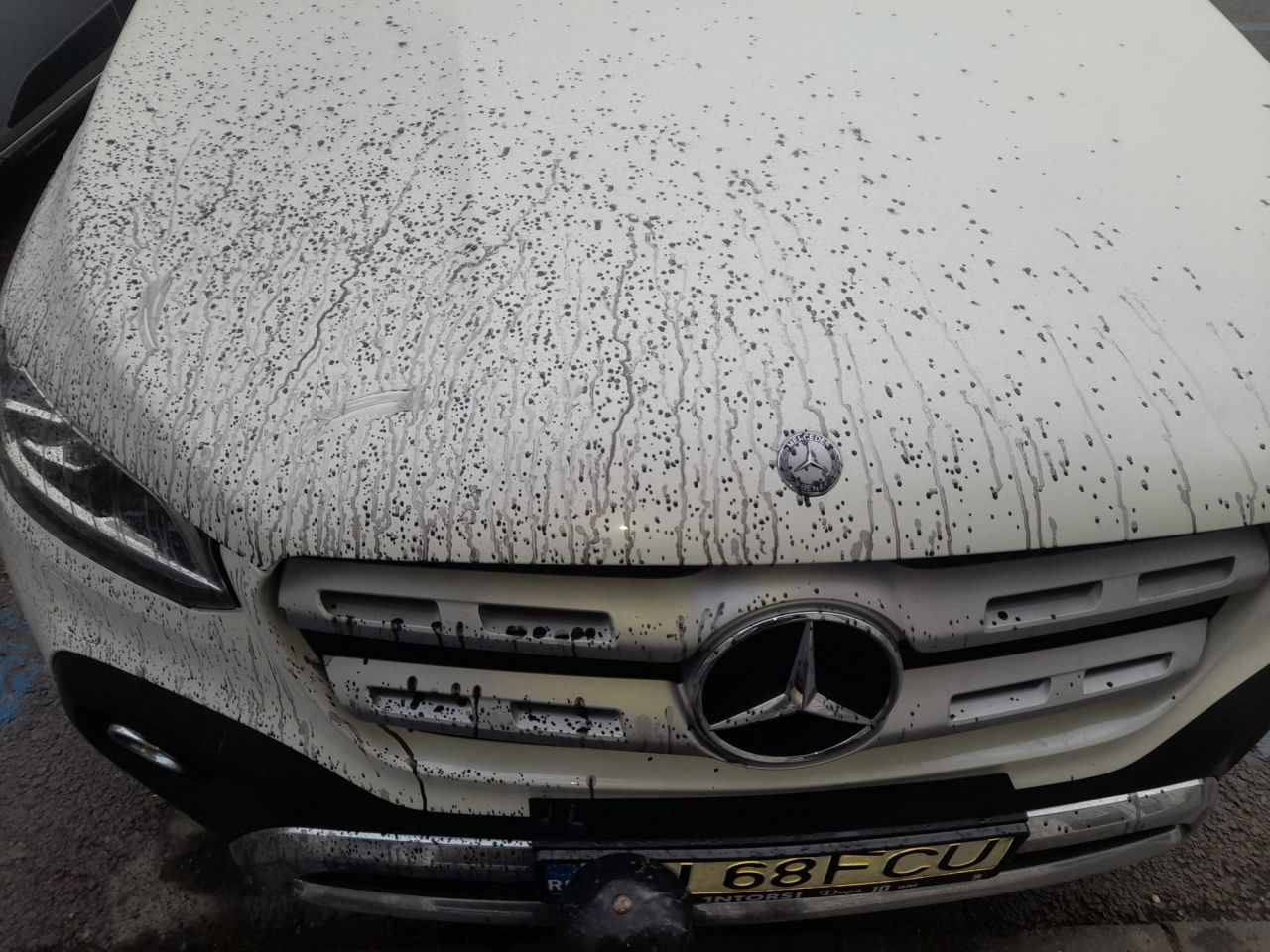 Sediul FCU Craiova, vandalizat cu o zi înainte de derby-ul Olteniei_3