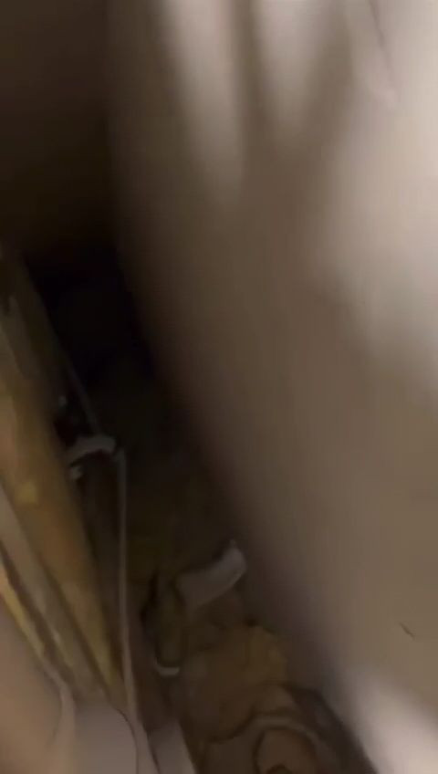 Reacția președintelui de la CS Rapid după descoperirea camerei secrete din Giulești_11