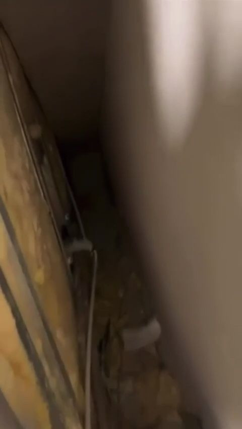 Reacția președintelui de la CS Rapid după descoperirea camerei secrete din Giulești_12