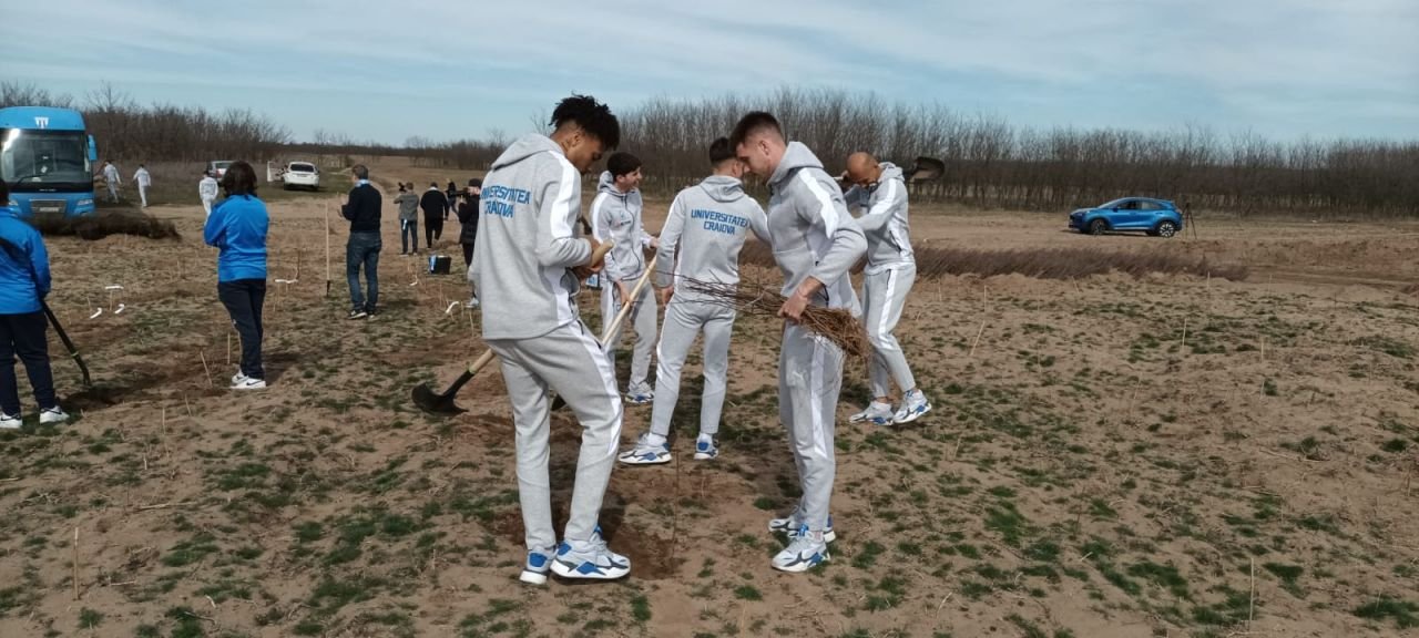 Jucătorii Universității Craiova au ieșit la plantat puieți și au pus gând rău Rapidului: 