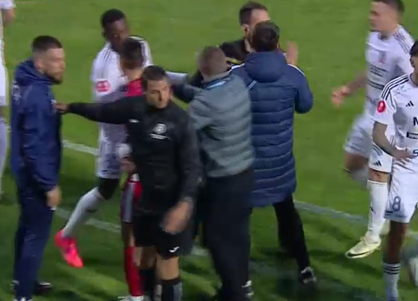 Bogdan Andone a cedat nervos la Botoșani - Dinamo! Antrenorul a sărit la arbitrul meciului_4