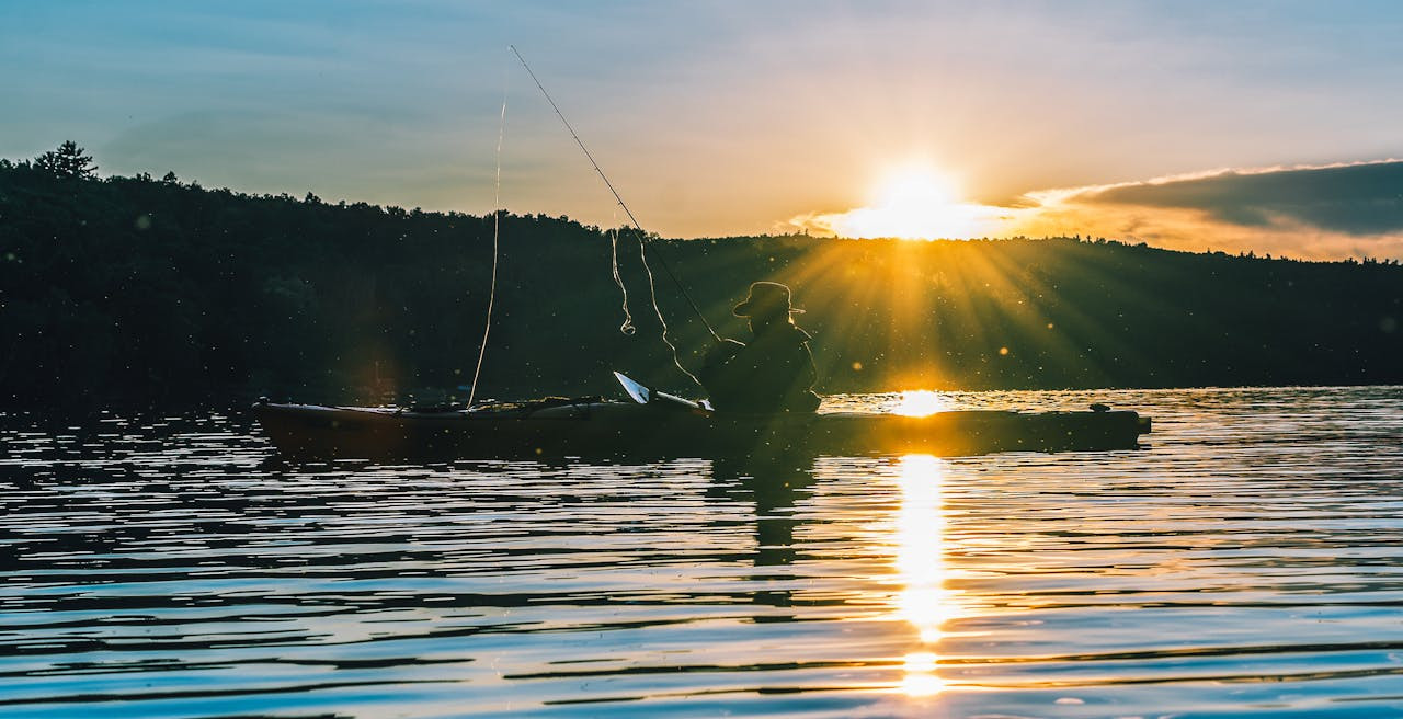 &Icirc;ngrijirea și &icirc;ntreținerea lansetei feeder (P)