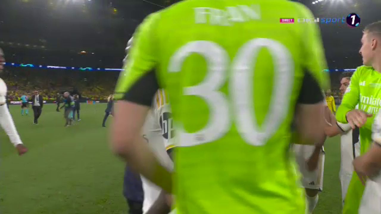 „Explozie” pe teren! Cum au sărbătorit jucătorii de la Real Madrid după triumful din Champions League_37