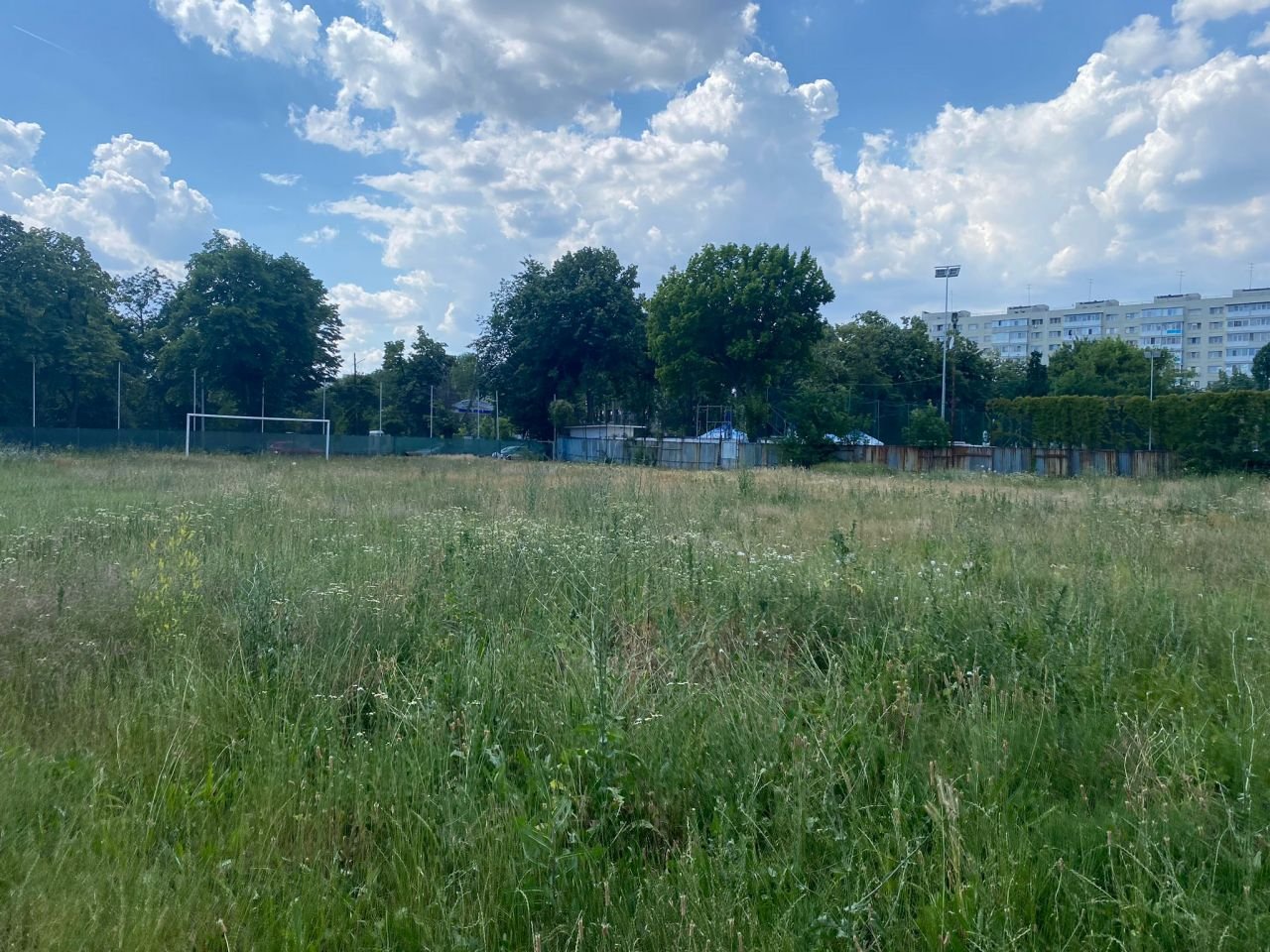 O bază sportivă din București a ajuns în paragină. E păzită doar de nea Ștefan, o fostă handbalistă și patru câini. În 2020 era ca o floare_13