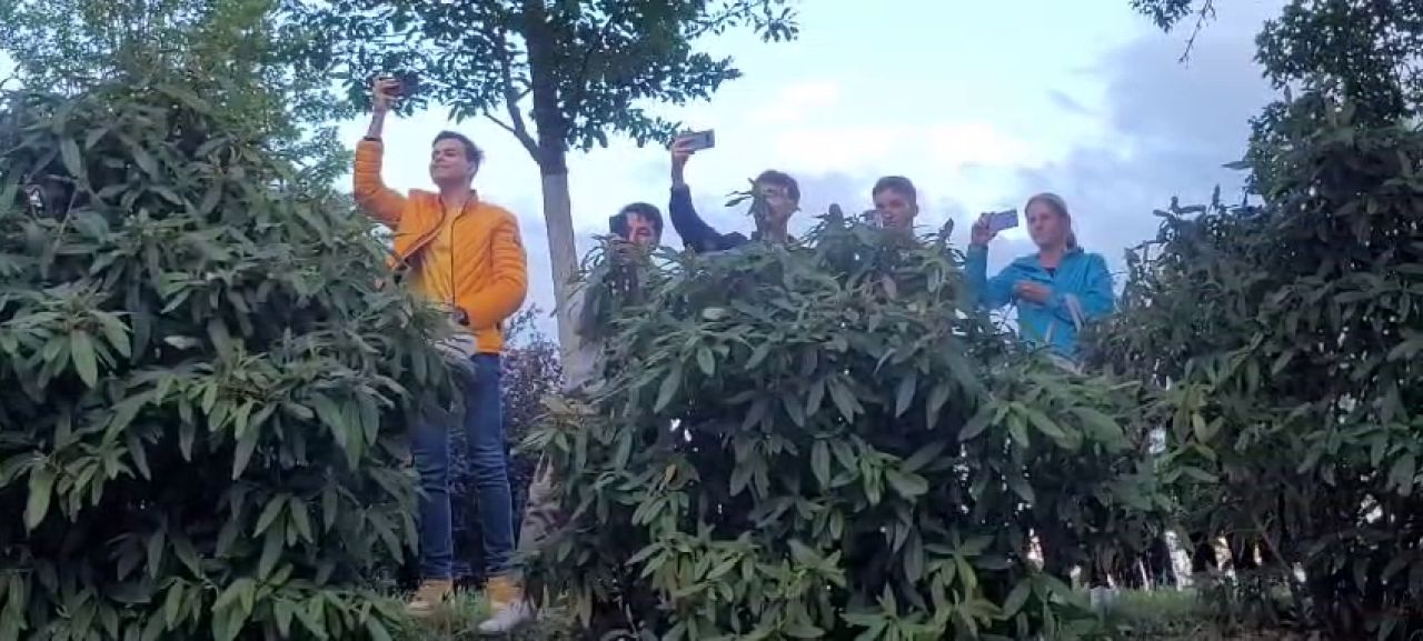 Tricolorii au ajuns în Würzburg! Cum au fost întâmpinați de fanii români aflați la hotel_18