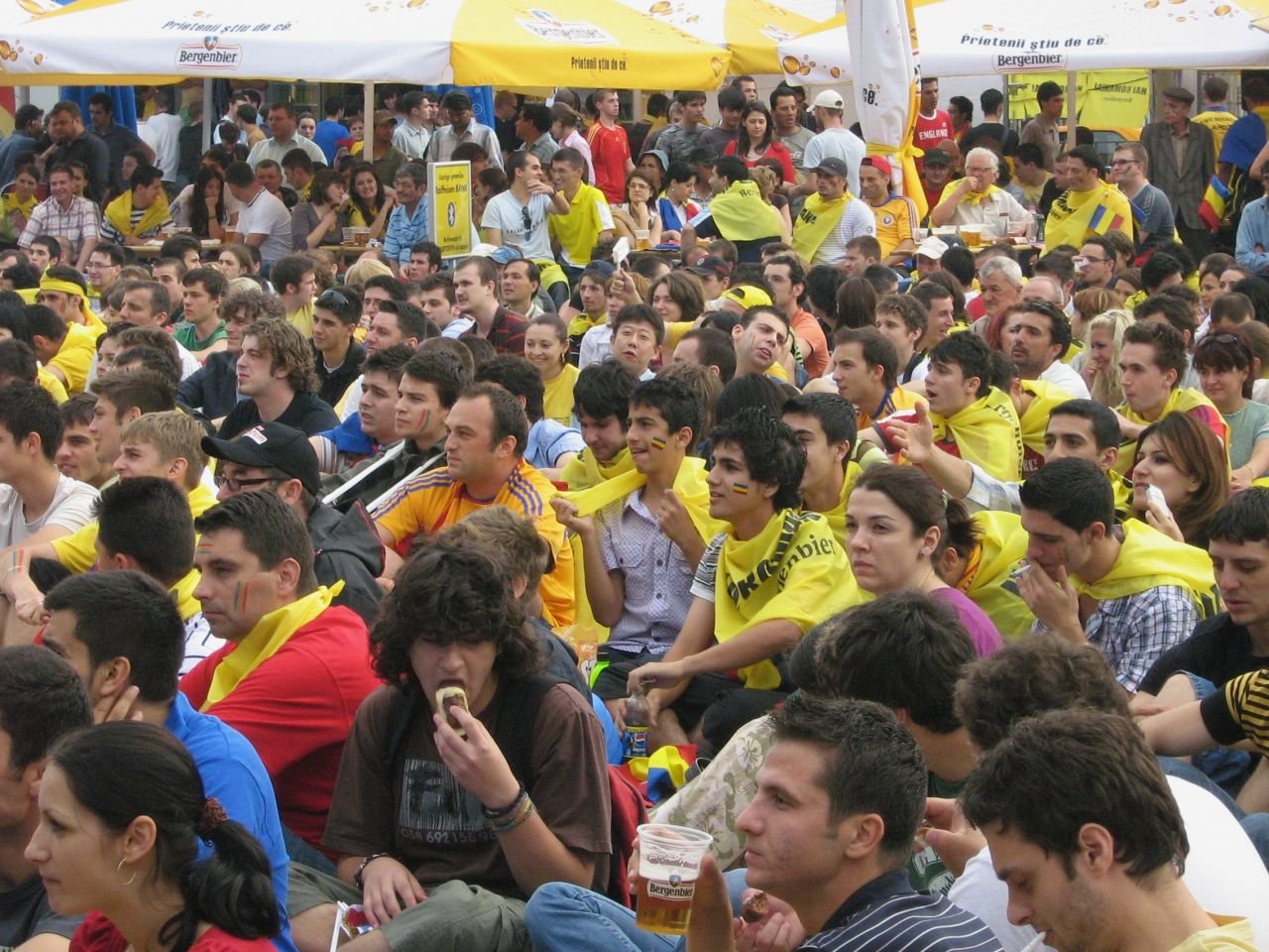 Imagini de colecție din 2008. Cum au trăit fanii naționalei meciul cu Olanda în 