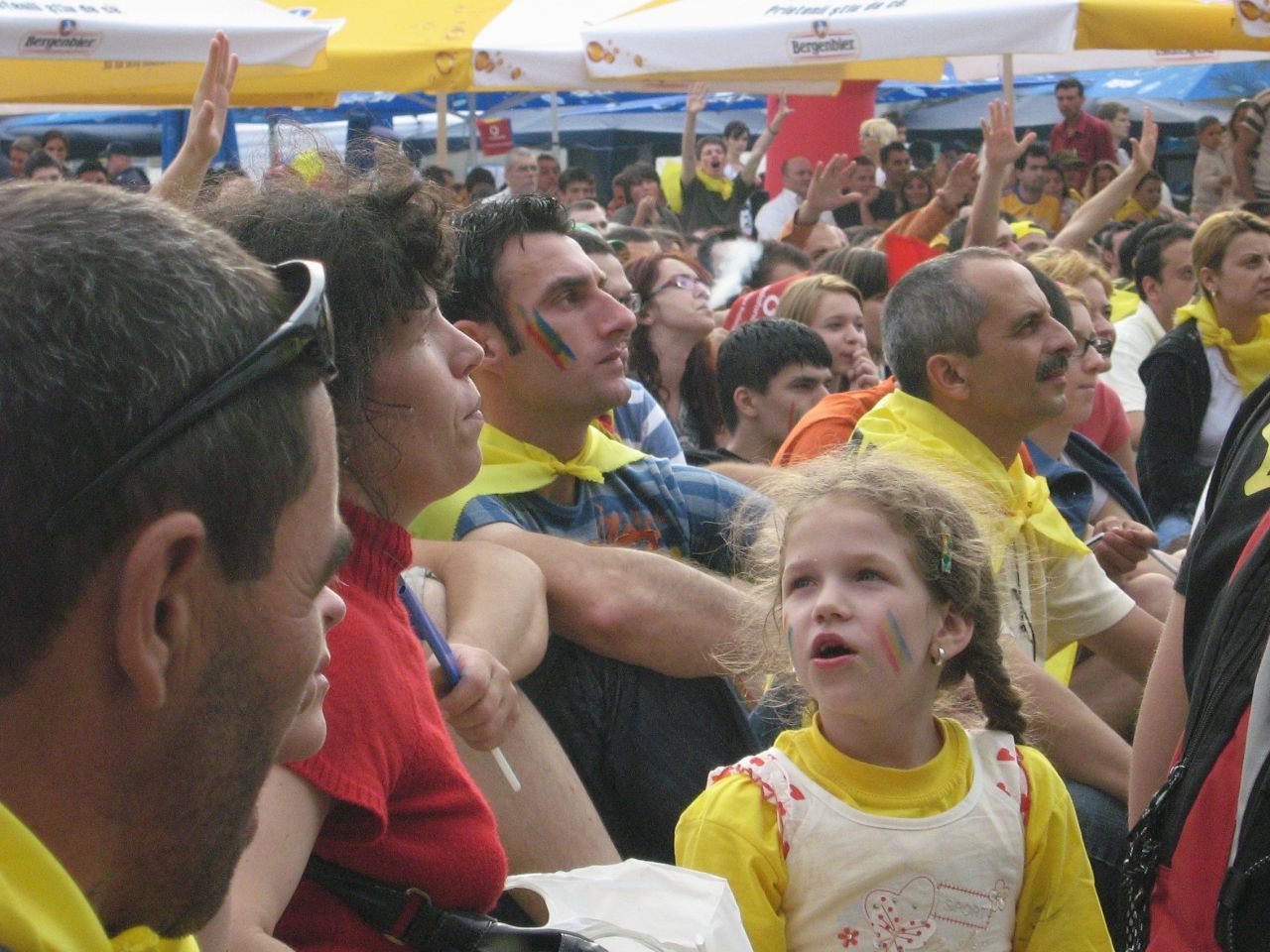 Imagini de colecție din 2008. Cum au trăit fanii naționalei meciul cu Olanda în